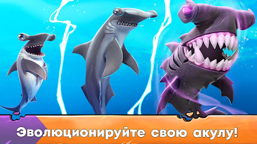 Hungry Shark Evolution: акула