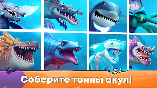 Hungry Shark Evolution: акула